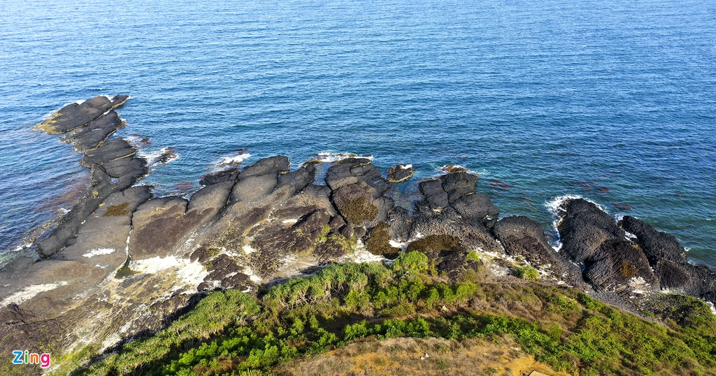 unique open air coral forest on the middle coast of vietnam